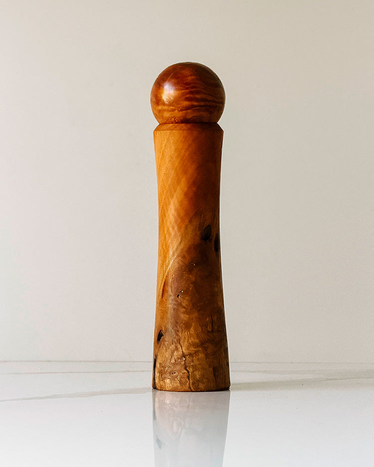 "José" Paperbark peppermill
