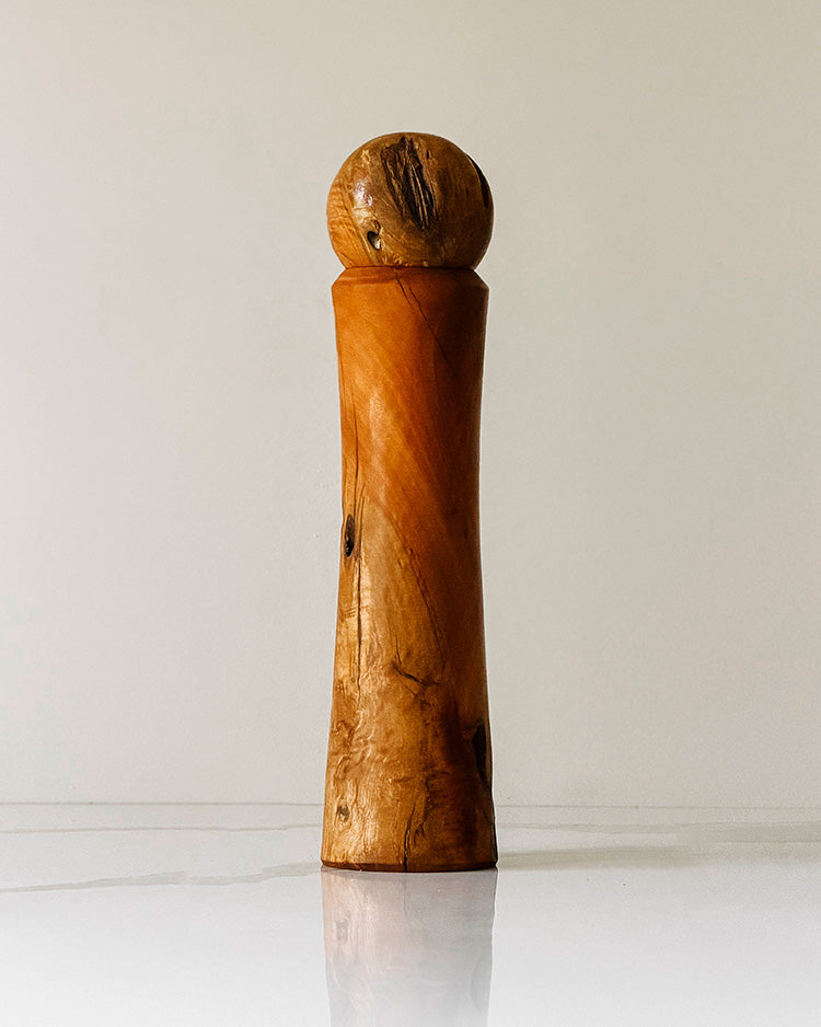 "José" Paperbark peppermill