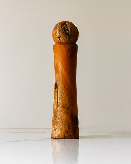 "José" Paperbark peppermill