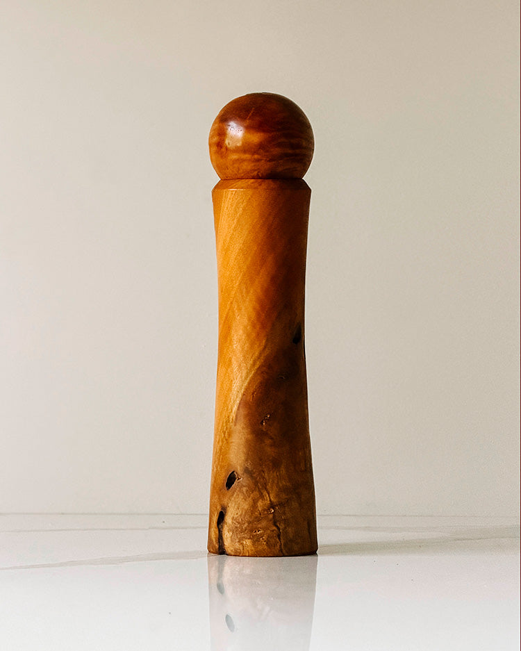 "José" Paperbark peppermill
